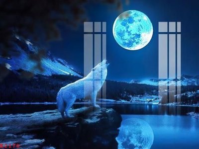 File in lụa File gốc in tranh tổng hợp K2170 (hoa văn) File gốc in tranh tổng hợp K2170