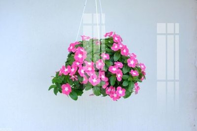 File PSD File gốc in tranh tổng hợp K21721 (nguyên bản) cho thiết kế