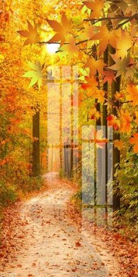 File ảnh File gốc in tranh tổng hợp K21950 (gốc) in PP, decal