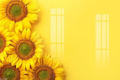 File in ấn File gốc in tranh tổng hợp K22349 (bản gốc) cao cấp