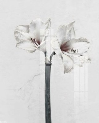 Tải về hình ảnh gốc File gốc in tranh tổng hợp K22372 sắc nét