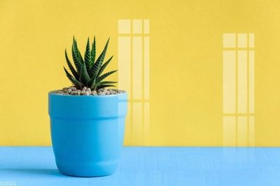 File ảnh gốc File gốc in tranh tổng hợp K22621 không vỡ nét