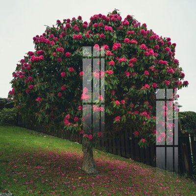 Tải về file gốc File gốc in tranh tổng hợp K22650 (dùng cho in quảng cáo)