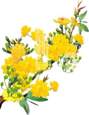 File gốc File gốc in tranh tổng hợp K22951 (trang trí) phòng làm việc