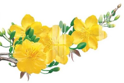 File gốc File gốc in tranh tổng hợp K22960 (in tráng gương) ốp tường