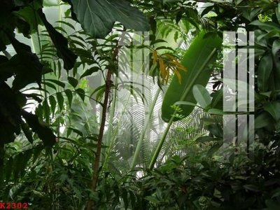 File in ấn chuyên nghiệp File gốc in tranh tổng hợp K2302 (file gốc)