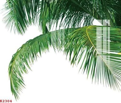 File tranh File gốc in tranh tổng hợp K2304 (gốc) in trên kính