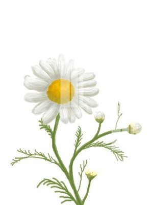 File gốc File gốc in tranh tổng hợp K23241 (ảnh chi tiết) để in ấn