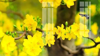 Tải file gốc File gốc in tranh tổng hợp K23291 (in tráng gương) 5DFile gốc File gốc in tranh tổng hợp K23291 (in ấn) phiên bản premium