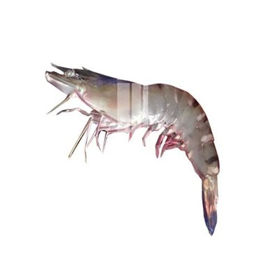 File PSD File gốc in tranh tổng hợp K23300 (gốc) tách lớp chi tiết