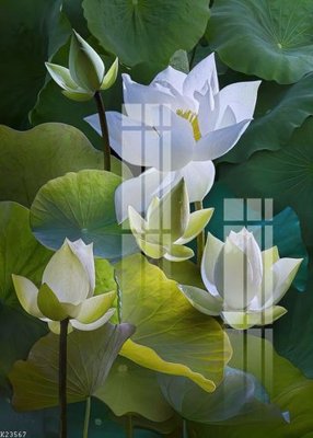 Tệp tin gốc File gốc in tranh tổng hợp K23567 (chất lượng cao) File gốc in tranh tổng hợp K23567