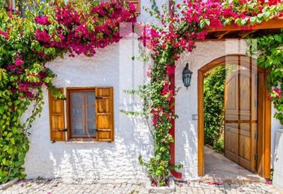 File tranh File gốc in tranh tổng hợp K24072 (gốc) in vải canvas