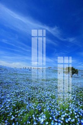 File gốc File gốc in tranh tổng hợp K24087 (PNG) nền trong suốt