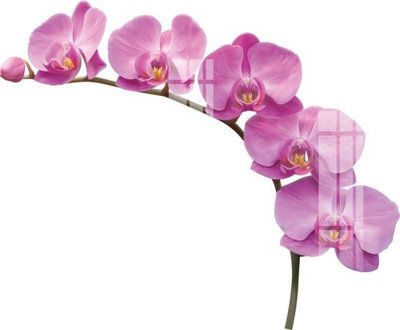 Download file gốc File gốc in tranh tổng hợp K24144 (in mica) trong suốt