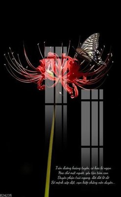 File in trần File gốc in tranh tổng hợp K24235 (bản gốc 3D) sống động