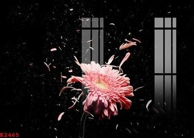 Mua file tranh gốc File gốc in tranh tổng hợp K2465 tại Filetranh.com