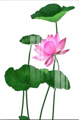 File tranh File gốc in tranh tổng hợp K24733 (file gốc) chuẩn màu in