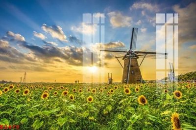 File tranh in trần File gốc in tranh tổng hợp K2479 (ảnh gốc siêu nét)