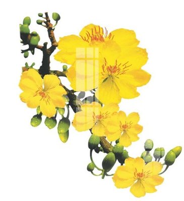 Download file gốc File gốc in tranh tổng hợp K24950 (in lụa) nghệ thuật