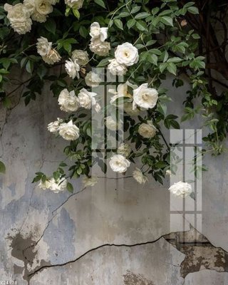 Tải về file gốc File gốc in tranh tổng hợp K24978 (chuẩn in ấn)