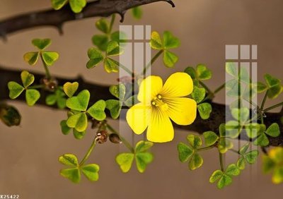 Tải về file tranh gốc File gốc in tranh tổng hợp K25422 (để in quảng cáo)