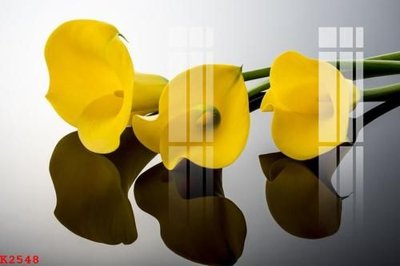 File gốc File gốc in tranh tổng hợp K2548 (phiên bản chuẩn) để in ấn