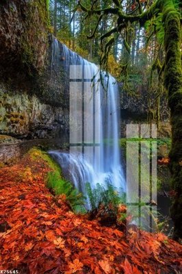 File tranh File gốc in tranh tổng hợp K25645 (bản gốc) treo phòng ăn