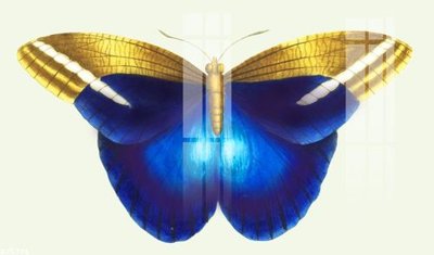 Tải file gốc File gốc in tranh tổng hợp K25776 dùng cho in ấn