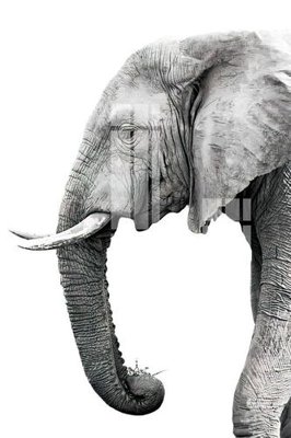 Tải file File gốc in tranh tổng hợp K26052 (ảnh gốc) in tráng gương