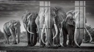 Tải file gốc File gốc in tranh tổng hợp K26184 dùng cho in ấn