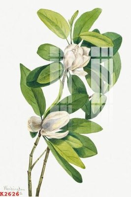 Tải file File gốc in tranh tổng hợp K2626 (ảnh gốc) in gạch men