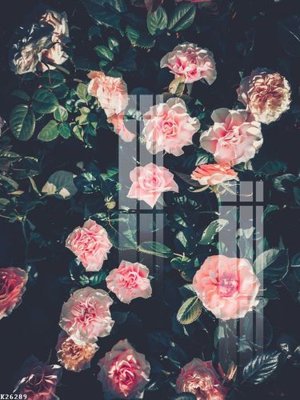 File in trần File gốc in tranh tổng hợp K26289 (bản gốc) đại dương