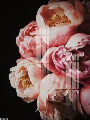 File in mica File gốc in tranh tổng hợp K26292 (bản gốc) sắc sảo