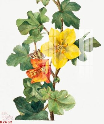 File gốc File gốc in tranh tổng hợp K2632 (trang trí) phòng trẻ em