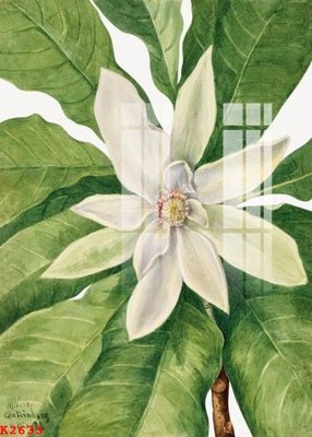 File gốc File gốc in tranh tổng hợp K2633 (AI/EPS) cho in ấn