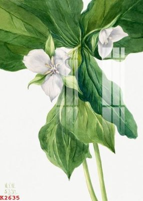 Mua file tranh gốc File gốc in tranh tổng hợp K2635 tại Filetranh.com