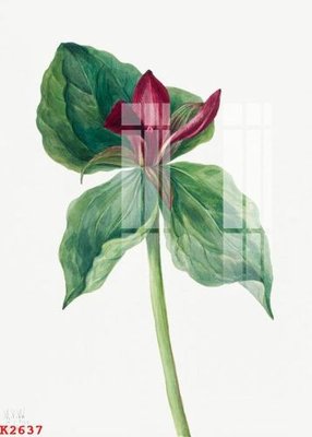 File gốc File gốc in tranh tổng hợp K2637 (ảnh rõ nét) để in