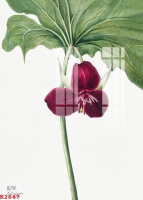 File in lụa File gốc in tranh tổng hợp K2647 (phong cảnh) File gốc in tranh tổng hợp K2647