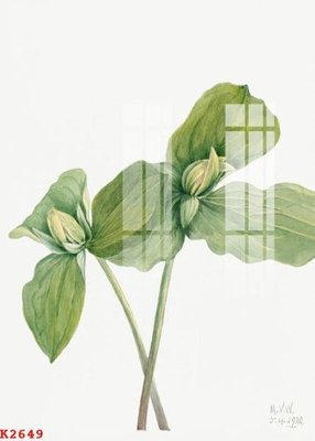 File gốc File gốc in tranh tổng hợp K2649 (Filetranh.com) File gốc in tranh tổng hợp K2649