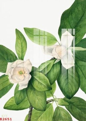 File gốc File gốc in tranh tổng hợp K2651 (trang trí) phòng trẻ em