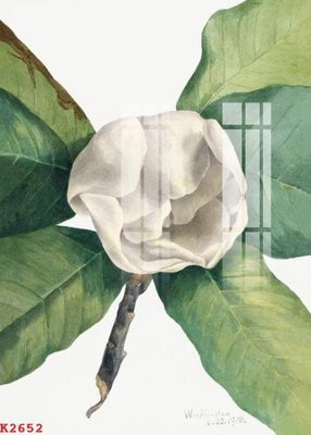 Tải về file tranh gốc File gốc in tranh tổng hợp K2652 (để in quảng cáo)