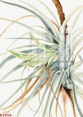 File gốc File gốc in tranh tổng hợp K2656 (dành cho trang trí nội thất)