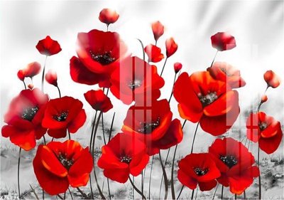 File in trần File gốc in tranh tổng hợp K26834 (bản gốc) đại dương