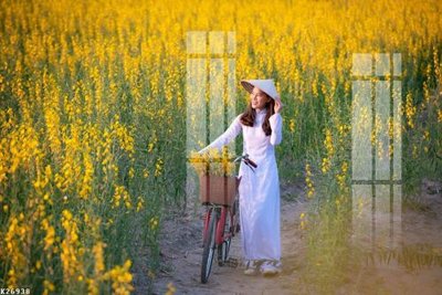 File ảnh File gốc in tranh tổng hợp K26938 (gốc) in PP, decal