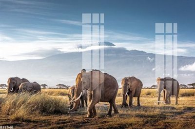 File tranh File gốc in tranh tổng hợp K26940 (ảnh gốc) in trần 3D