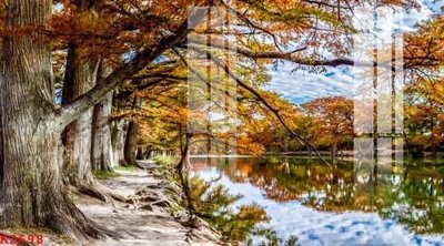 File in mica File gốc in tranh tổng hợp K2698 (ảnh gốc) đẹp