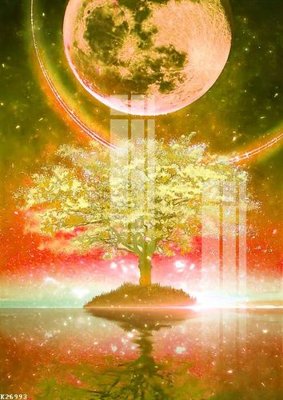 File in trần File gốc in tranh tổng hợp K26993 (file gốc) xuyên sáng