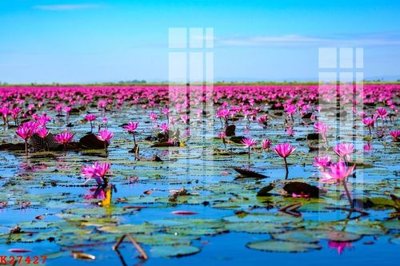 Tải xuống file tranh gốc File gốc in tranh tổng hợp K27427 (PSD/TIFF)