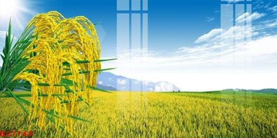 Download file tranh File gốc in tranh tổng hợp K27749 (file gốc PSD)