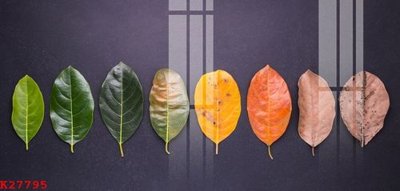 File PSD in ấn File gốc in tranh tổng hợp K27795 (chất lượng cao)